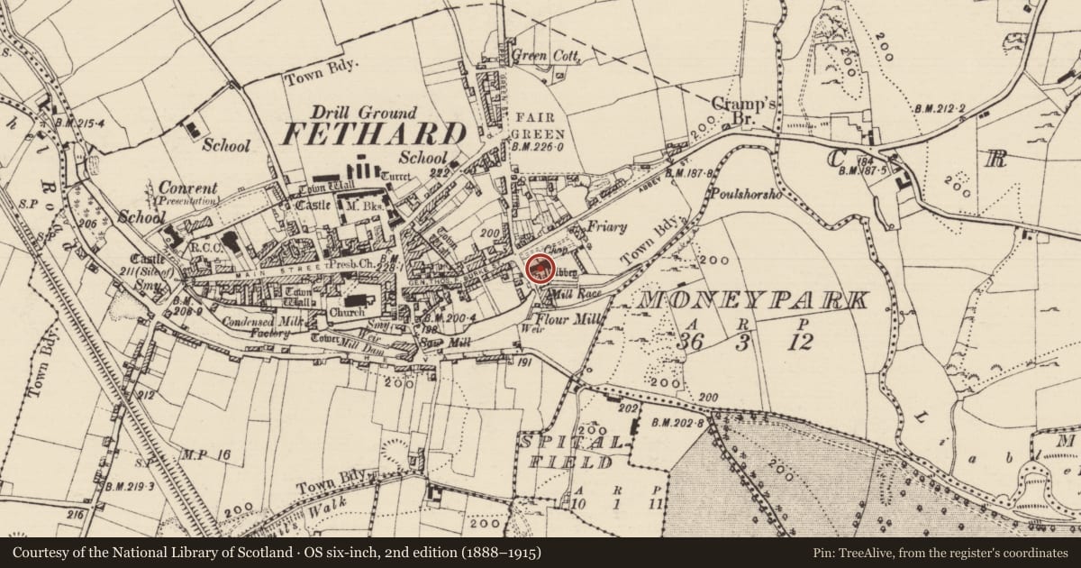 Ordnance Survey six-inch map, 2nd edition (1888–1915) covering the location of Graveslab, Fethard, County Tipperary South, with a pin at the register's coordinates