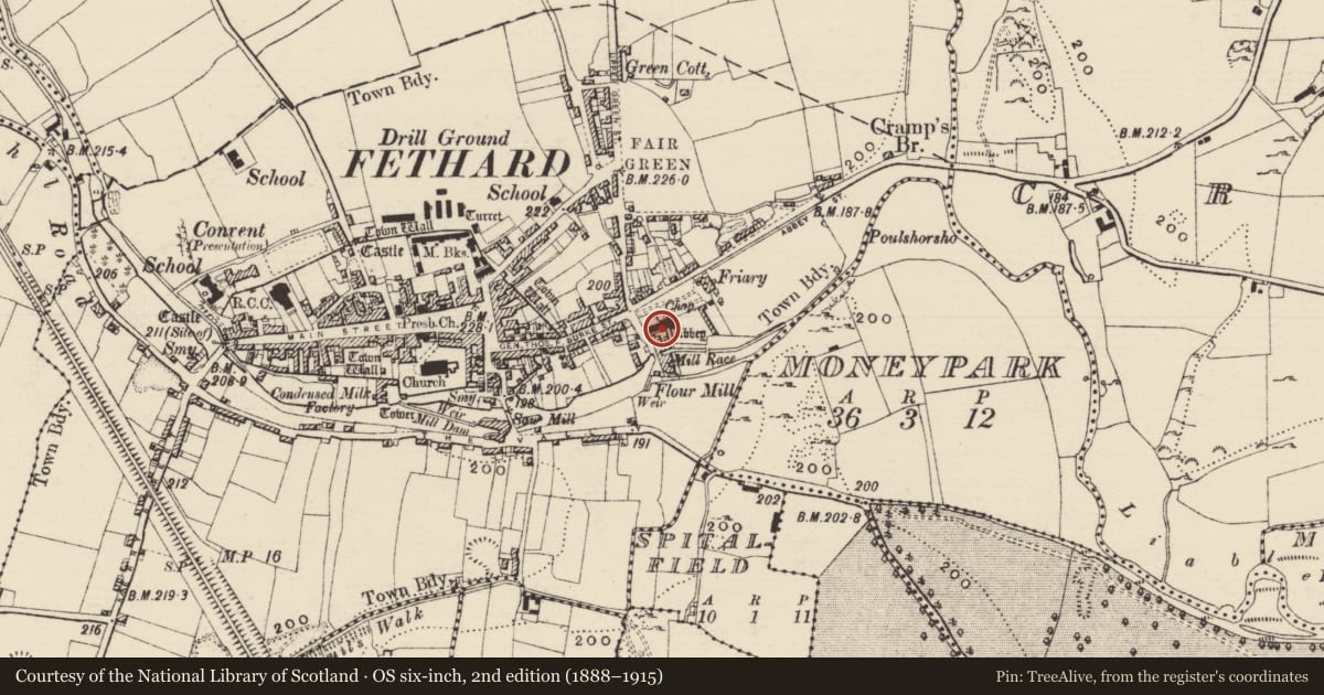 Ordnance Survey six-inch map, 2nd edition (1888–1915) covering the location of Graveslab, Fethard, County Tipperary South, with a pin at the register's coordinates
