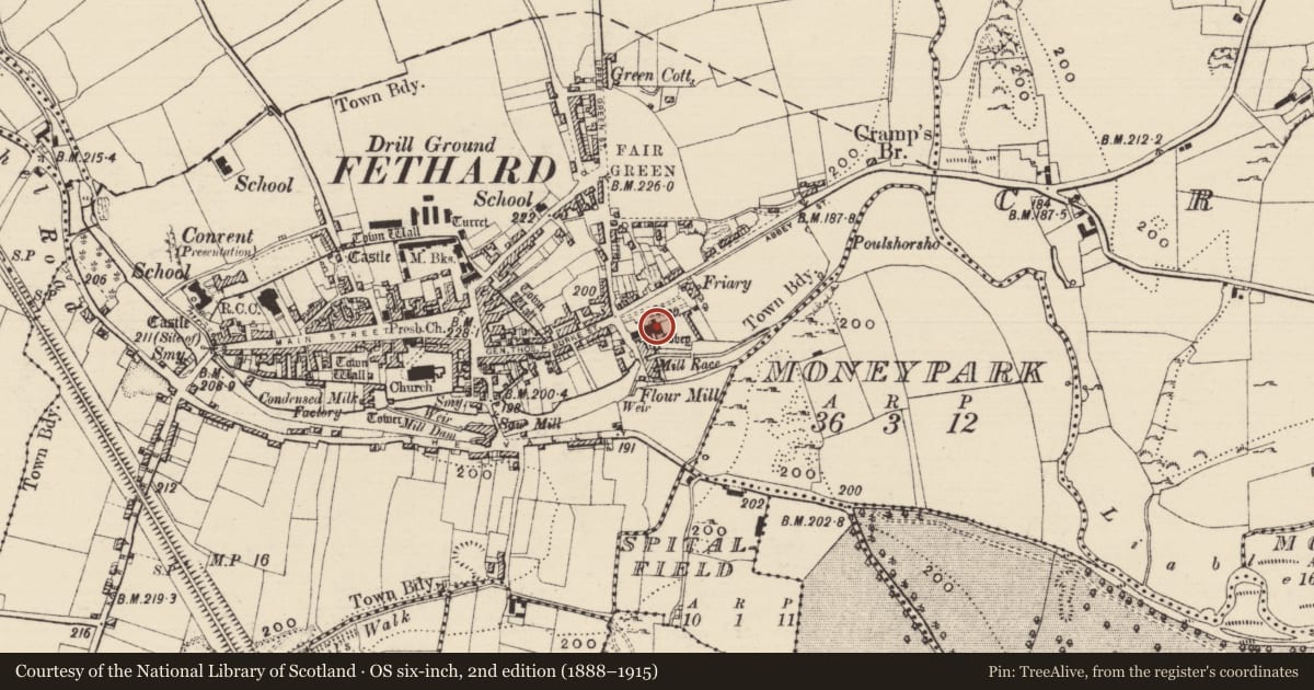 Ordnance Survey six-inch map, 2nd edition (1888–1915) covering the location of Graveslab, Fethard, County Tipperary South, with a pin at the register's coordinates