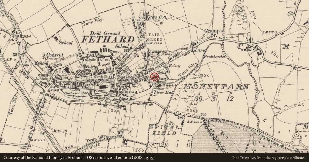 Ordnance Survey six-inch map, 2nd edition (1888–1915) covering the location of Graveslab, Fethard, County Tipperary South, with a pin at the register's coordinates