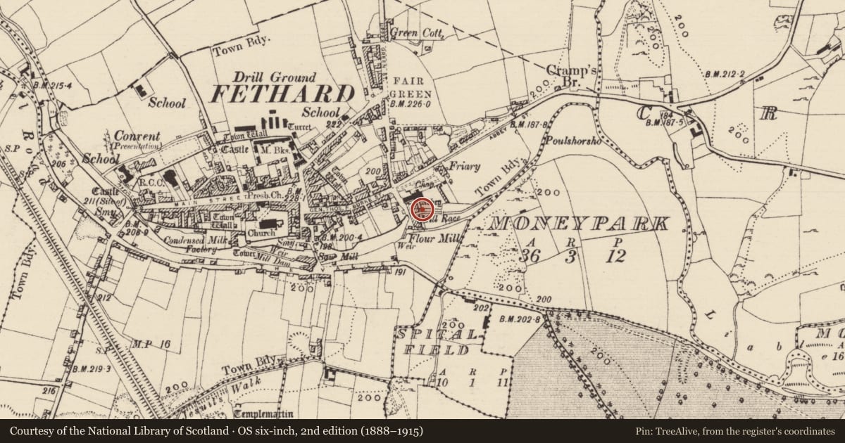 Ordnance Survey six-inch map, 2nd edition (1888–1915) covering the location of Graveslab, Fethard, County Tipperary South, with a pin at the register's coordinates