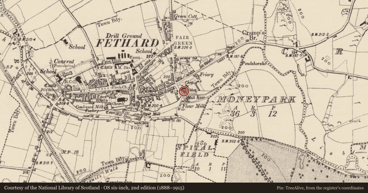 Ordnance Survey six-inch map, 2nd edition (1888–1915) covering the location of Wall monument, Fethard, County Tipperary South, with a pin at the register's coordinates