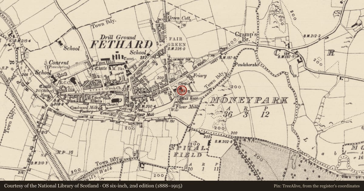Ordnance Survey six-inch map, 2nd edition (1888–1915) covering the location of Wall monument, Fethard, County Tipperary South, with a pin at the register's coordinates