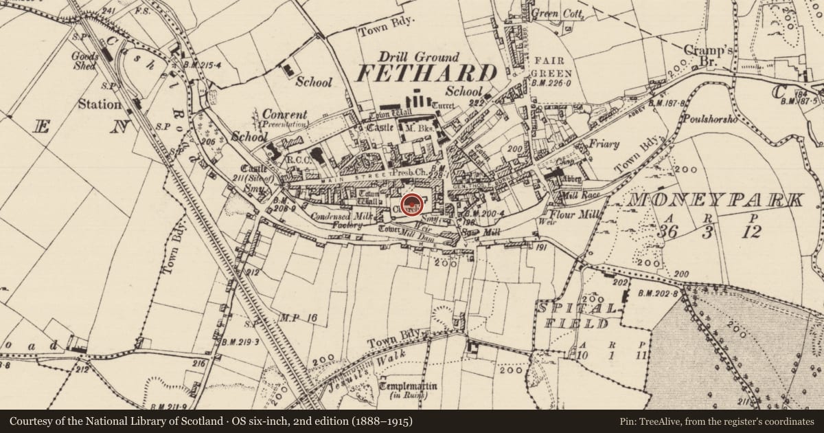 Ordnance Survey six-inch map, 2nd edition (1888–1915) covering the location of Graveslab, Fethard, County Tipperary South, with a pin at the register's coordinates