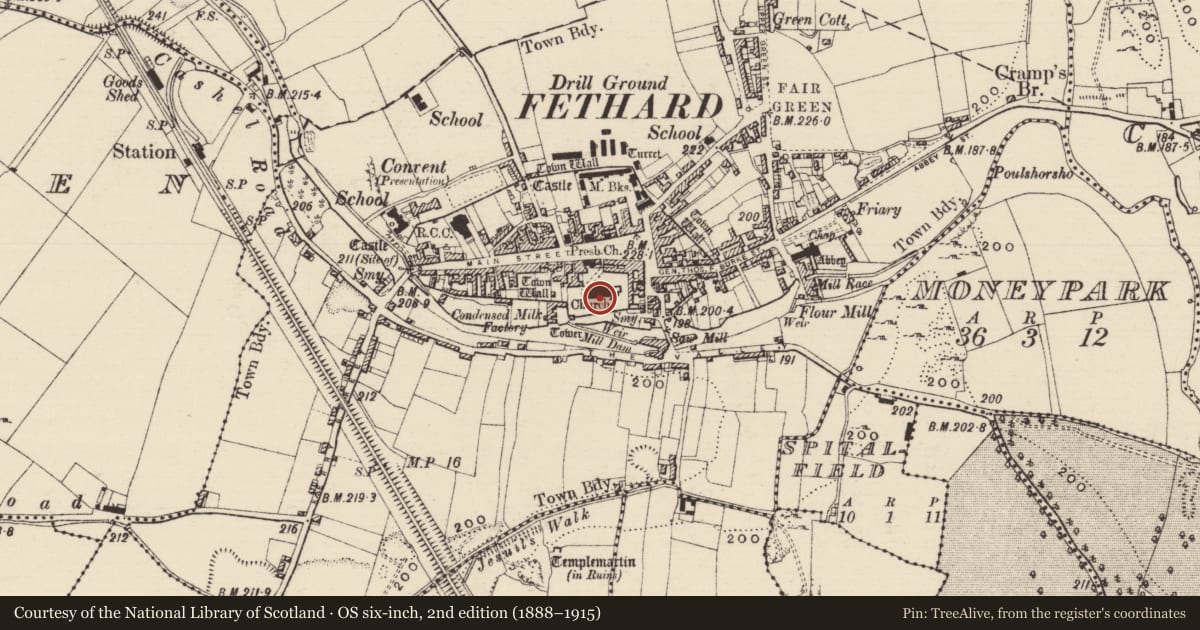 Ordnance Survey six-inch map, 2nd edition (1888–1915) covering the location of Graveslab, Fethard, County Tipperary South, with a pin at the register's coordinates