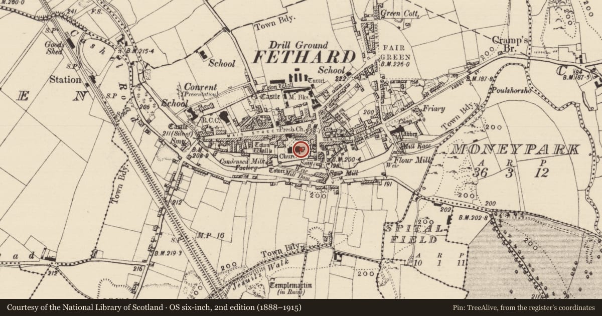 Ordnance Survey six-inch map, 2nd edition (1888–1915) covering the location of Graveslab, Fethard, County Tipperary South, with a pin at the register's coordinates