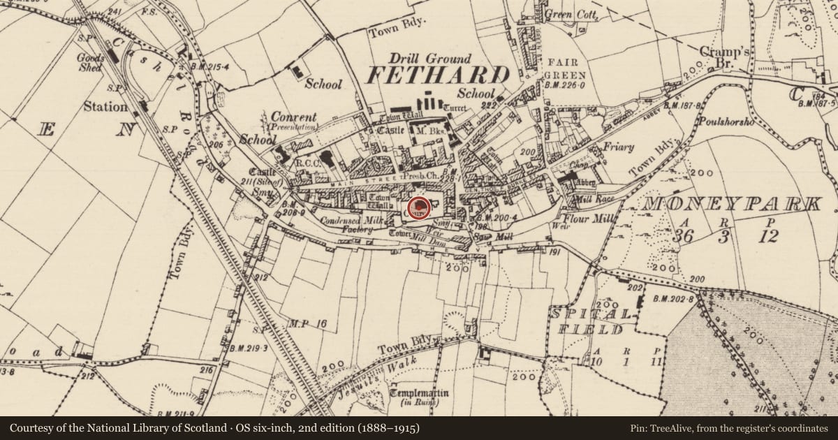 Ordnance Survey six-inch map, 2nd edition (1888–1915) covering the location of Graveslab, Fethard, County Tipperary South, with a pin at the register's coordinates