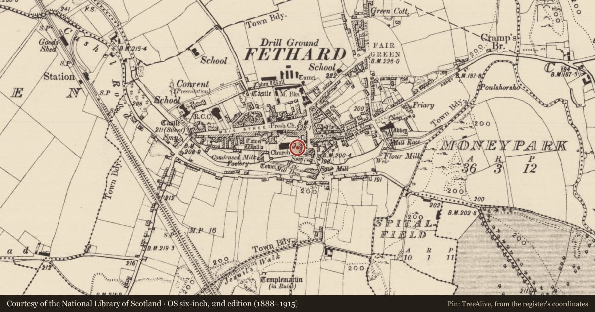 Ordnance Survey six-inch map, 2nd edition (1888–1915) covering the location of Graveslab, Fethard, County Tipperary South, with a pin at the register's coordinates