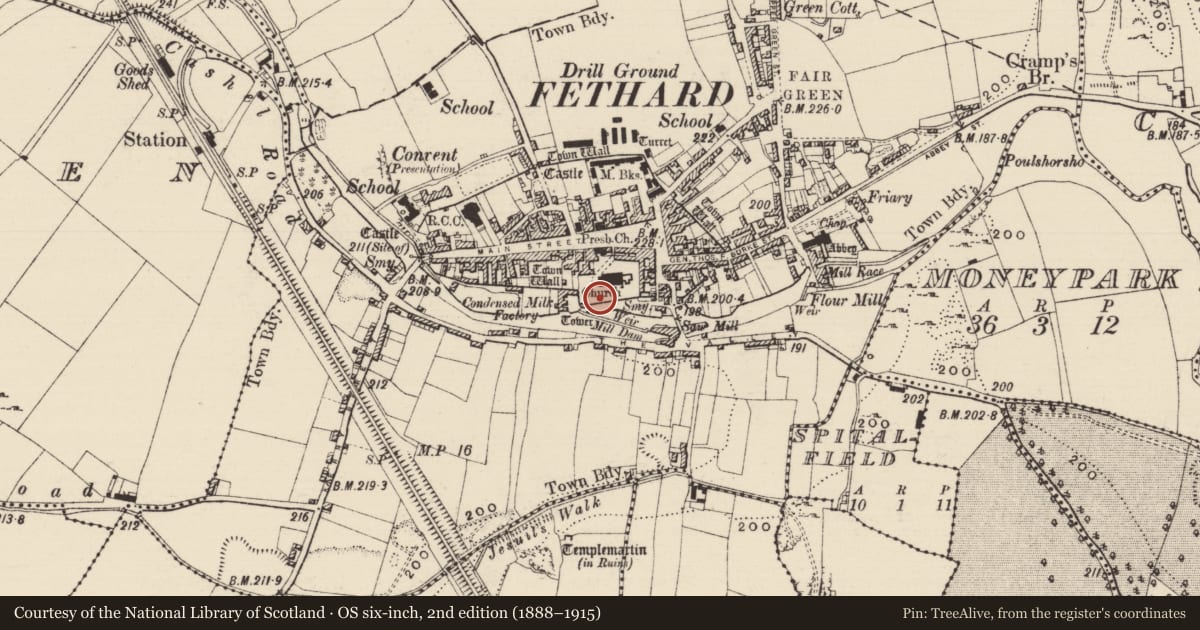 Ordnance Survey six-inch map, 2nd edition (1888–1915) covering the location of Graveslab, Fethard, County Tipperary South, with a pin at the register's coordinates