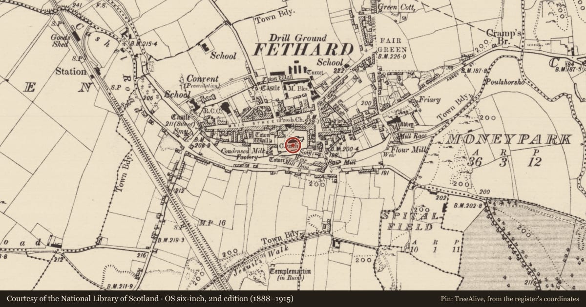 Ordnance Survey six-inch map, 2nd edition (1888–1915) covering the location of Wall monument, Fethard, County Tipperary South, with a pin at the register's coordinates