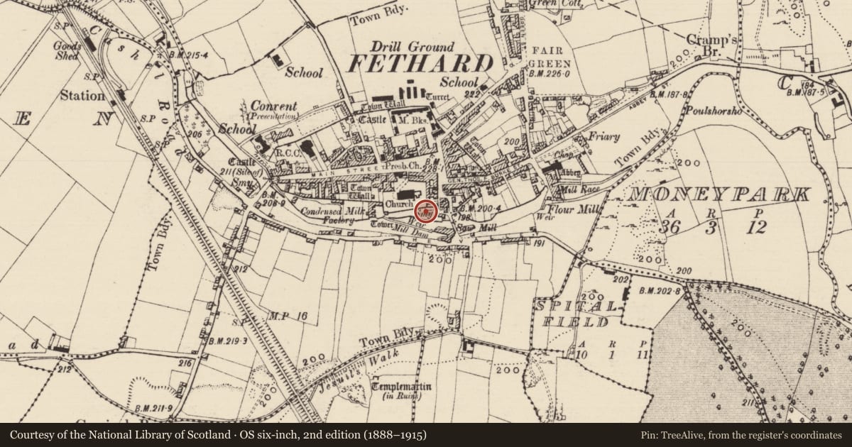 Ordnance Survey six-inch map, 2nd edition (1888–1915) covering the location of Graveslab, Fethard, County Tipperary South, with a pin at the register's coordinates