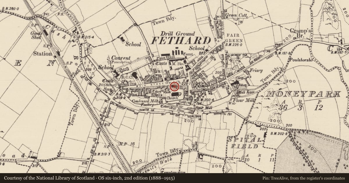 Ordnance Survey six-inch map, 2nd edition (1888–1915) covering the location of Armorial plaque, Fethard, County Tipperary South, with a pin at the register's coordinates