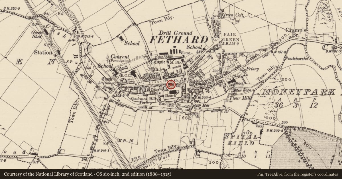 Ordnance Survey six-inch map, 2nd edition (1888–1915) covering the location of Armorial plaque, Fethard, County Tipperary South, with a pin at the register's coordinates