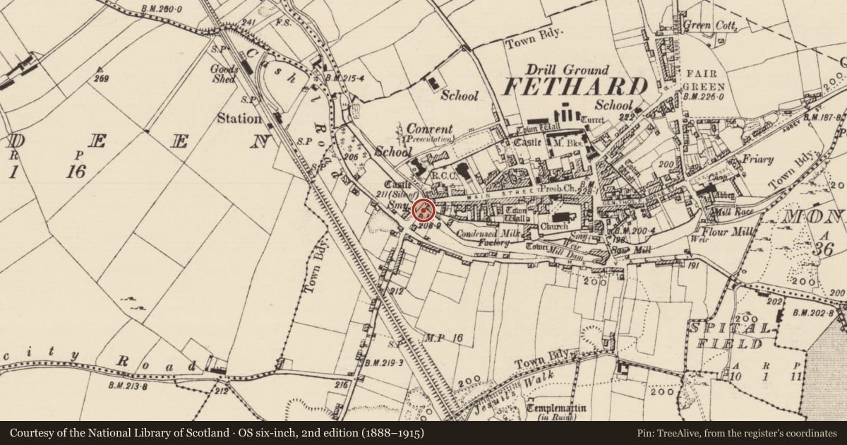 Ordnance Survey six-inch map, 2nd edition (1888–1915) covering the location of Memorial stone, Fethard, County Tipperary South, with a pin at the register's coordinates