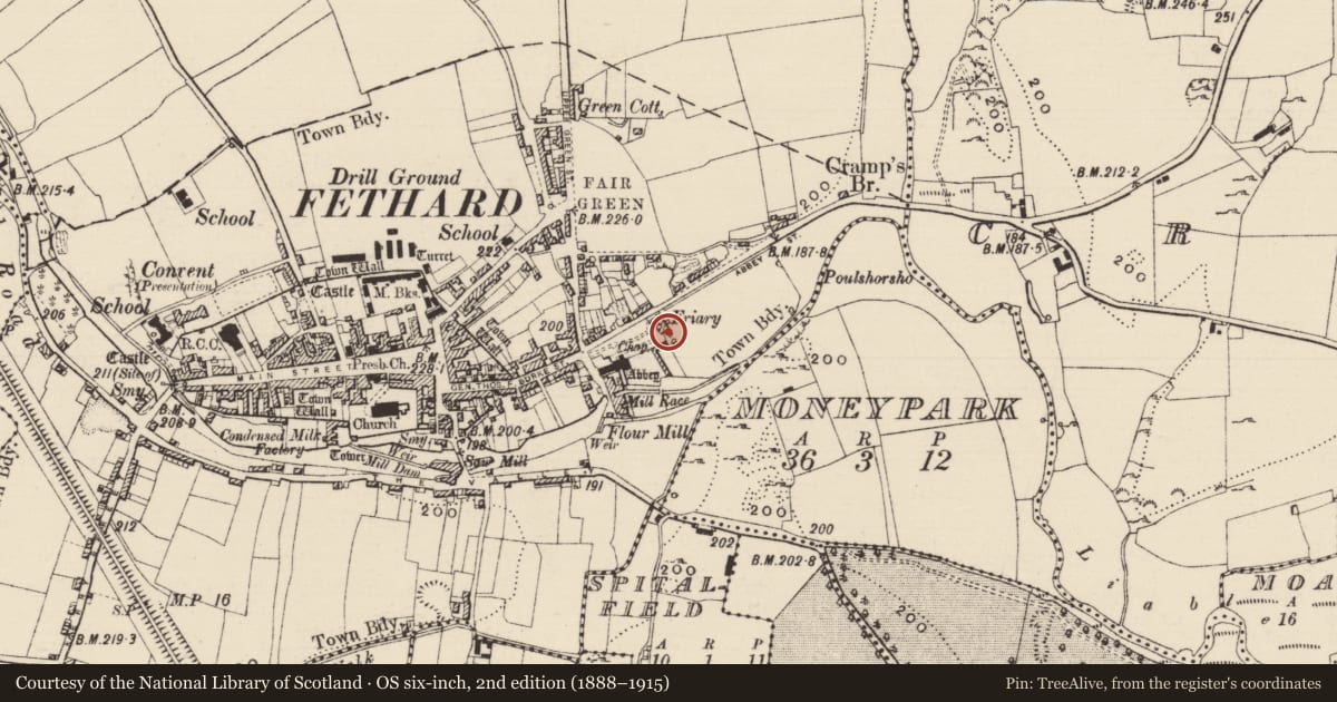 Ordnance Survey six-inch map, 2nd edition (1888–1915) covering the location of House - 17th century, Fethard, County Tipperary South, with a pin at the register's coordinates