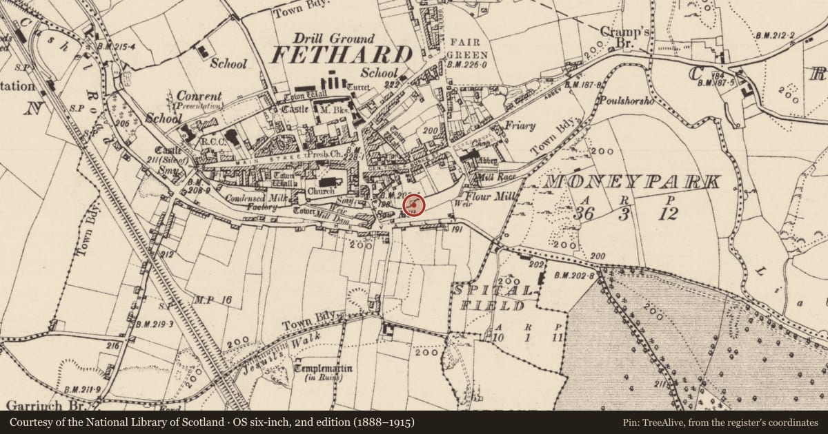 Ordnance Survey six-inch map, 2nd edition (1888–1915) covering the location of Architectural feature, Fethard, County Tipperary South, with a pin at the register's coordinates