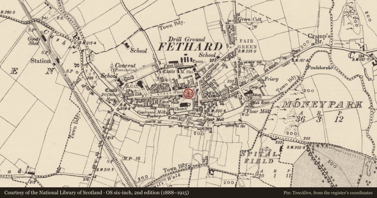 Ordnance Survey six-inch map, 2nd edition (1888–1915) covering the location of House - 17th century, Fethard, County Tipperary South, with a pin at the register's coordinates