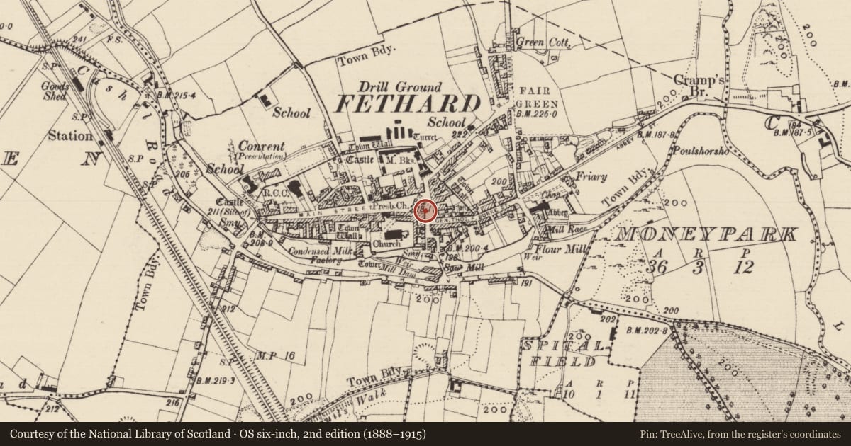 Ordnance Survey six-inch map, 2nd edition (1888–1915) covering the location of Cross - Market cross, Fethard, County Tipperary South, with a pin at the register's coordinates