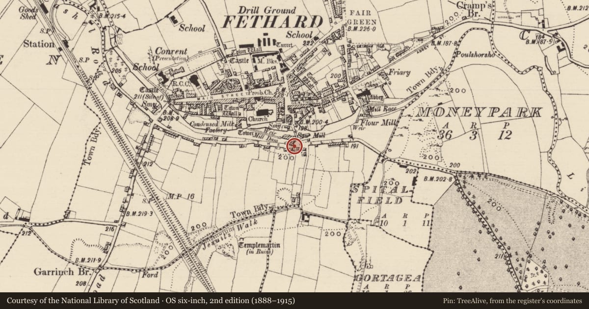 Ordnance Survey six-inch map, 2nd edition (1888–1915) covering the location of Water mill - vertical-wheeled, Fethard, County Tipperary South, with a pin at the register's coordinates