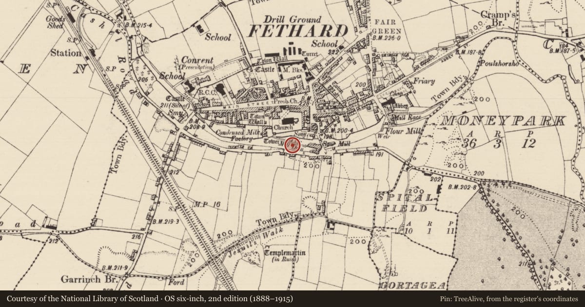 Ordnance Survey six-inch map, 2nd edition (1888–1915) covering the location of Weir - regulating, Fethard, County Tipperary South, with a pin at the register's coordinates