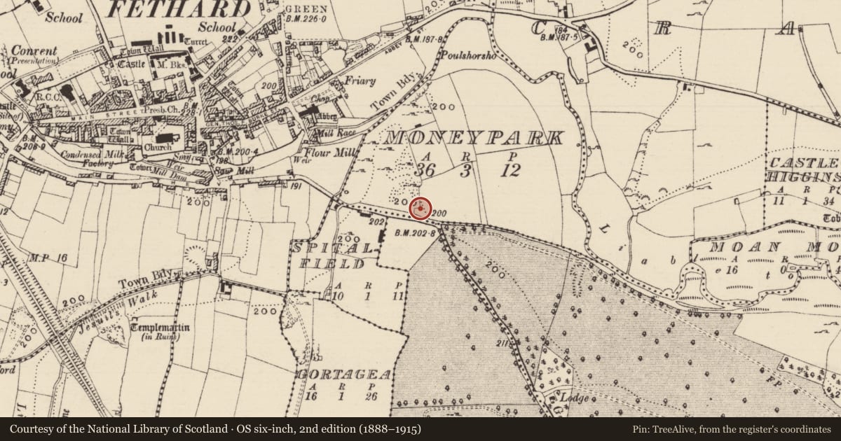 Ordnance Survey six-inch map, 2nd edition (1888–1915) covering the location of Hospital, Moneypark, County Tipperary South, with a pin at the register's coordinates