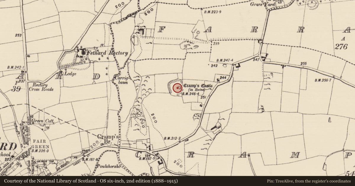 Ordnance Survey six-inch map, 2nd edition (1888–1915) covering the location of Settlement cluster, Crampscastle, County Tipperary South, with a pin at the register's coordinates