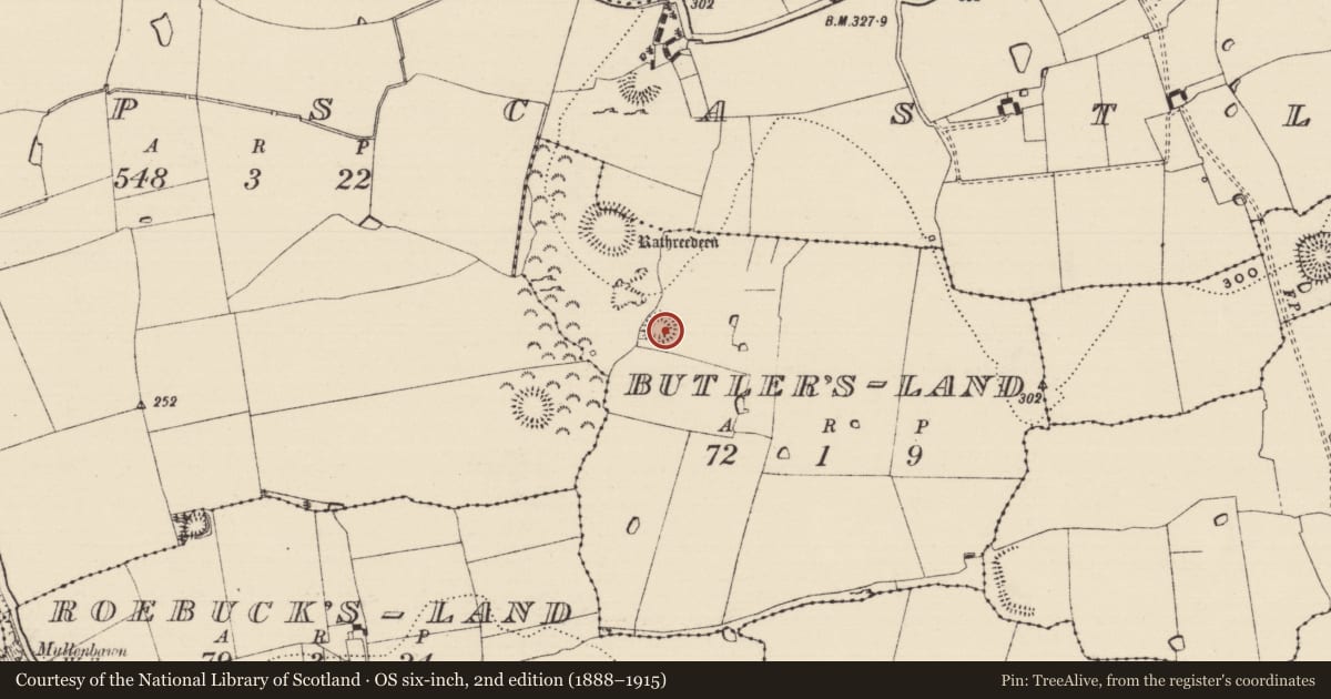 Ordnance Survey six-inch map, 2nd edition (1888–1915) covering the location of Ringfort - rath, Butler'S-Land, County Tipperary South, with a pin at the register's coordinates