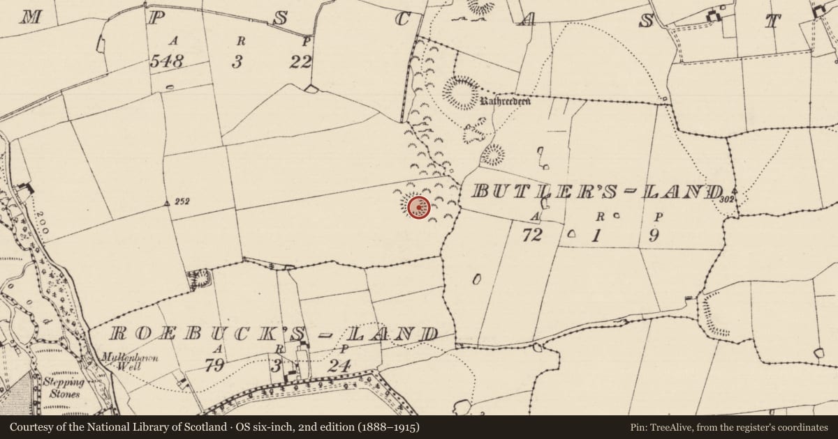 Ordnance Survey six-inch map, 2nd edition (1888–1915) covering the location of Ringfort - rath, Crampscastle, County Tipperary South, with a pin at the register's coordinates