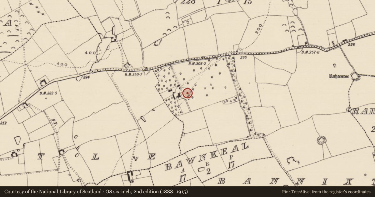 Ordnance Survey six-inch map, 2nd edition (1888–1915) covering the location of Enclosure, Bannixtown, County Tipperary South, with a pin at the register's coordinates