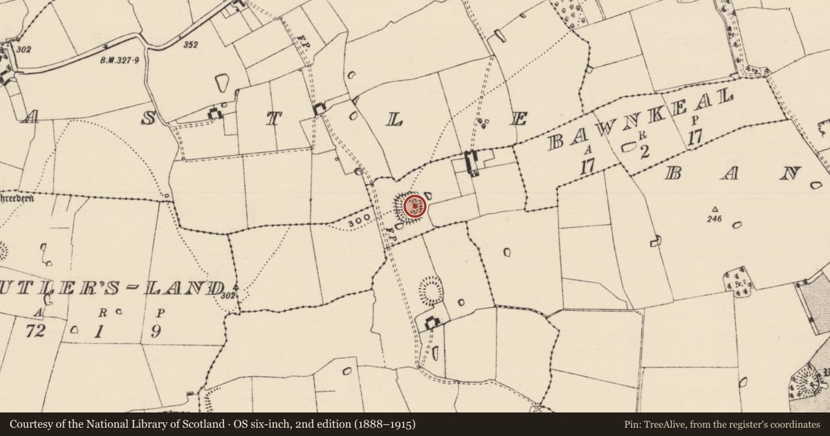 Ordnance Survey six-inch map, 2nd edition (1888–1915) covering the location of Ringfort - rath, Bannixtown, County Tipperary South, with a pin at the register's coordinates