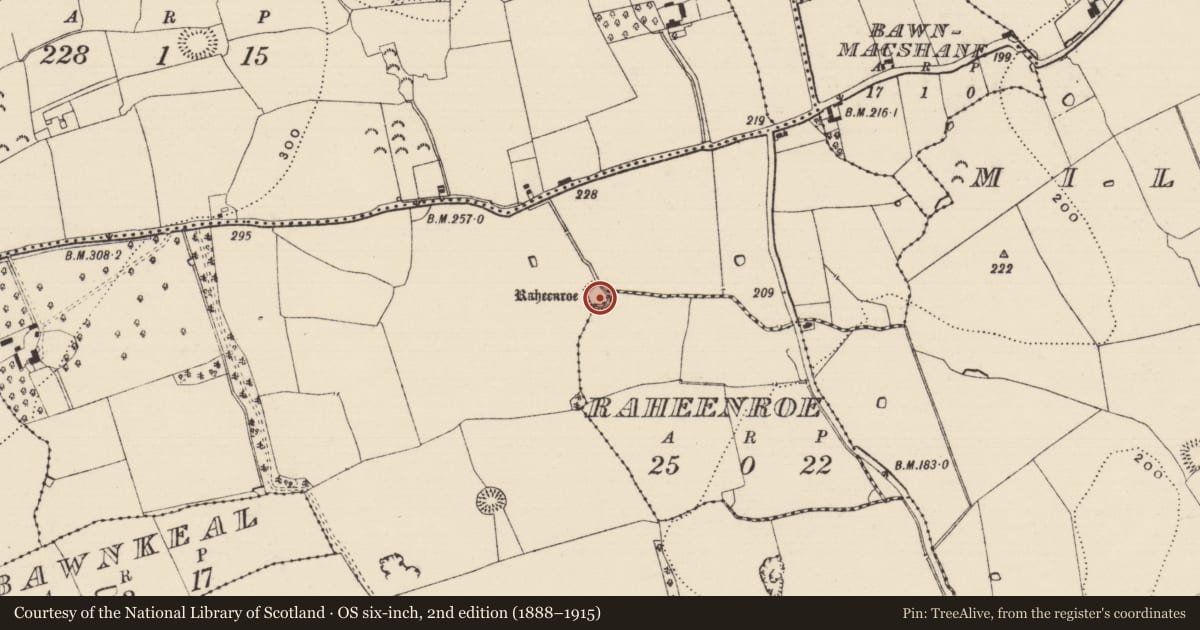 Ordnance Survey six-inch map, 2nd edition (1888–1915) covering the location of Enclosure, Bannixtown, Raheenroe (Coolmundry Par.), County Tipperary South, with a pin at the register's coordinates