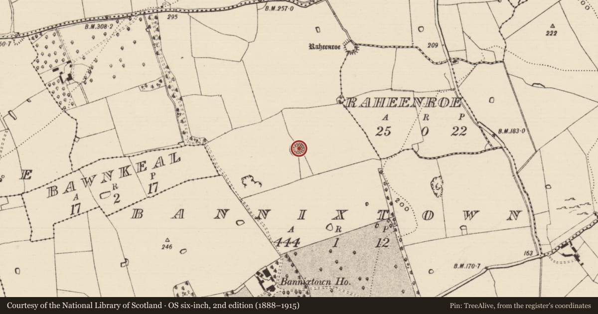 Ordnance Survey six-inch map, 2nd edition (1888–1915) covering the location of Enclosure, Bannixtown, County Tipperary South, with a pin at the register's coordinates
