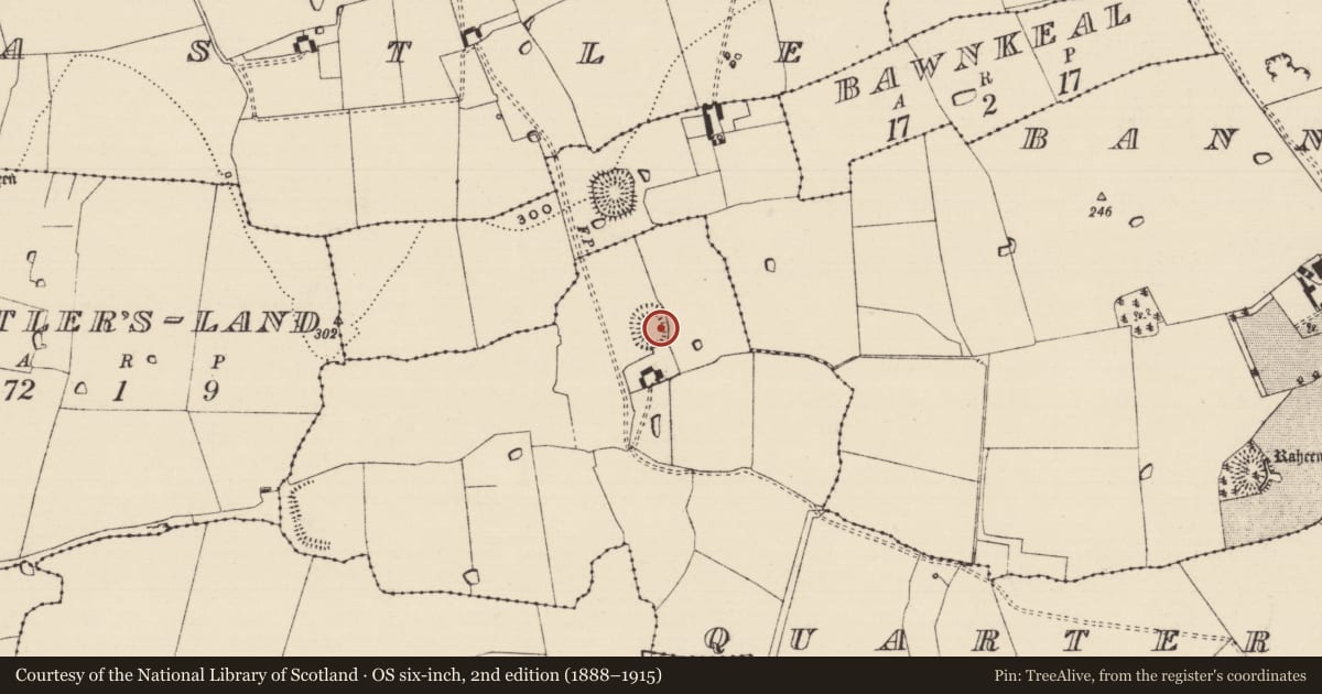 Ordnance Survey six-inch map, 2nd edition (1888–1915) covering the location of Ringfort - rath, Quartercross, County Tipperary South, with a pin at the register's coordinates