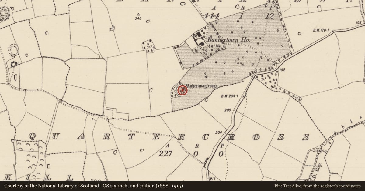 Ordnance Survey six-inch map, 2nd edition (1888–1915) covering the location of Ringfort - rath, Bannixtown, County Tipperary South, with a pin at the register's coordinates