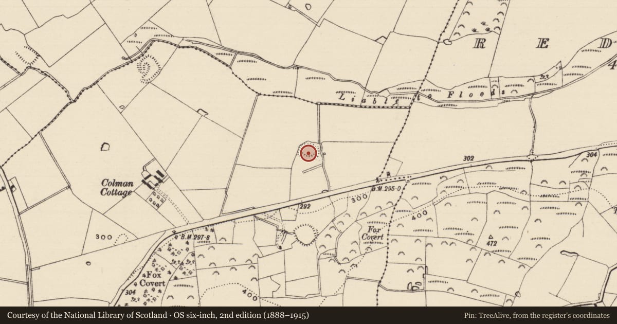 Ordnance Survey six-inch map, 2nd edition (1888–1915) covering the location of Enclosure, Colman (Hennessy), County Tipperary South, with a pin at the register's coordinates