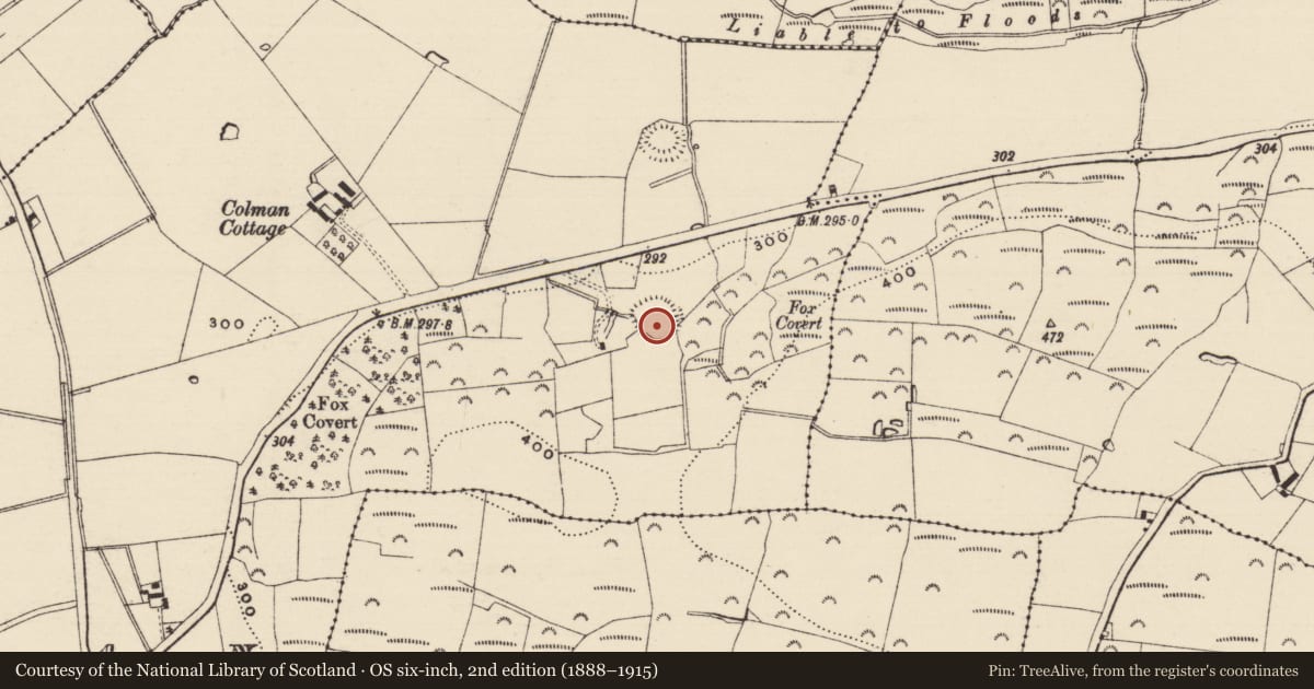 Ordnance Survey six-inch map, 2nd edition (1888–1915) covering the location of Enclosure, Colman (Hennessy), County Tipperary South, with a pin at the register's coordinates