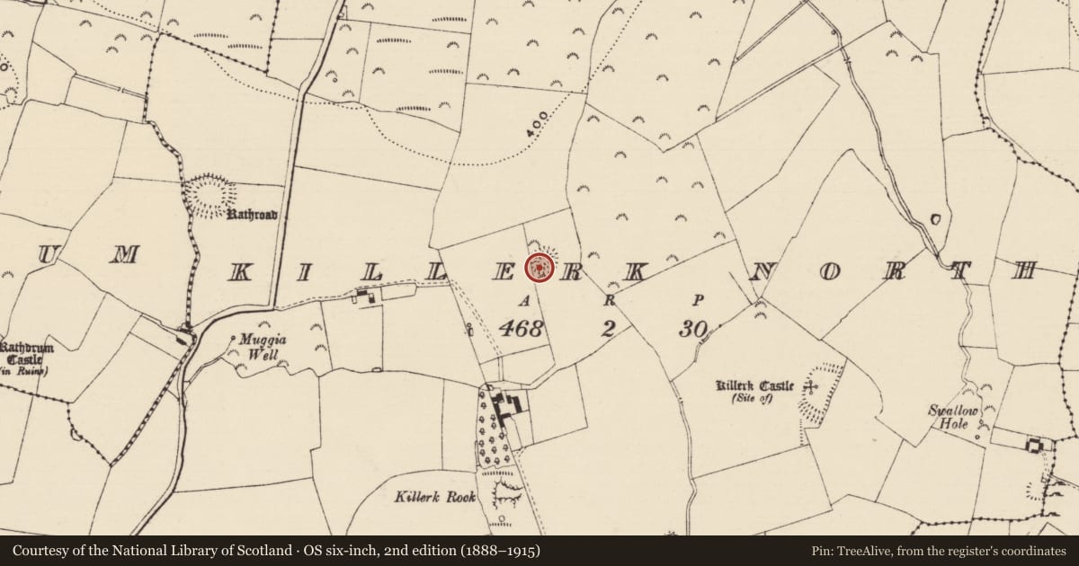 Ordnance Survey six-inch map, 2nd edition (1888–1915) covering the location of Ringfort - rath, Killerk North, County Tipperary South, with a pin at the register's coordinates