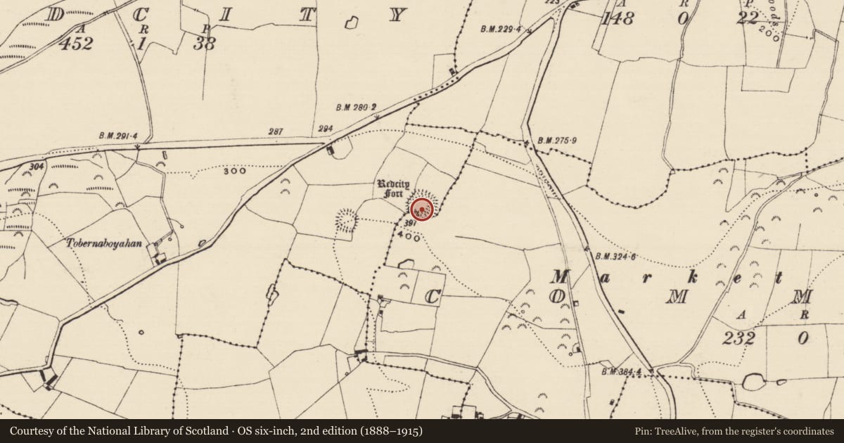 Ordnance Survey six-inch map, 2nd edition (1888–1915) covering the location of Ringfort - rath, Redcity, Commons (Fethard Par.), County Tipperary South, with a pin at the register's coordinates