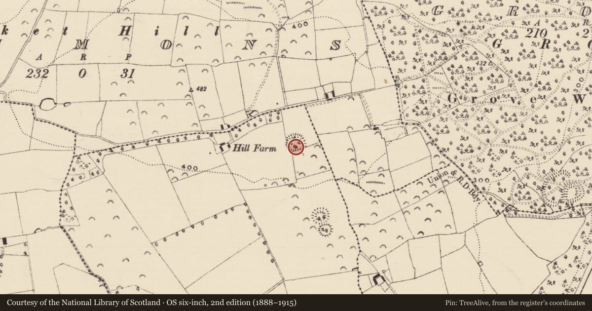 Ordnance Survey six-inch map, 2nd edition (1888–1915) covering the location of Barrow - ring-barrow, Ballygambon, County Tipperary South, with a pin at the register's coordinates
