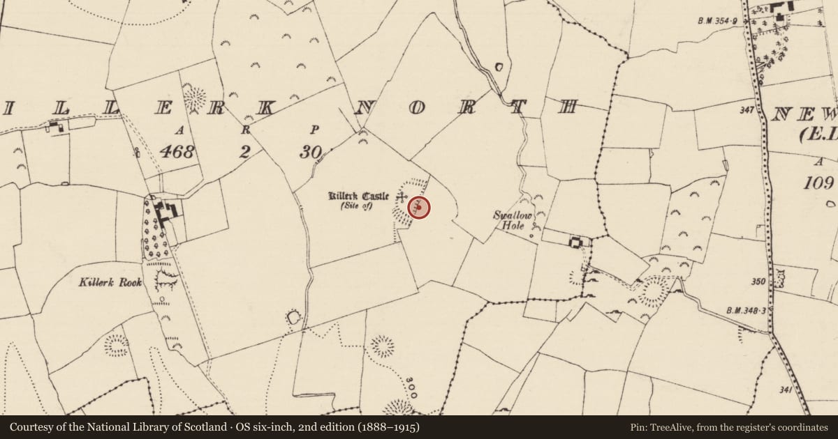 Ordnance Survey six-inch map, 2nd edition (1888–1915) covering the location of Enclosure, Killerk North, County Tipperary South, with a pin at the register's coordinates