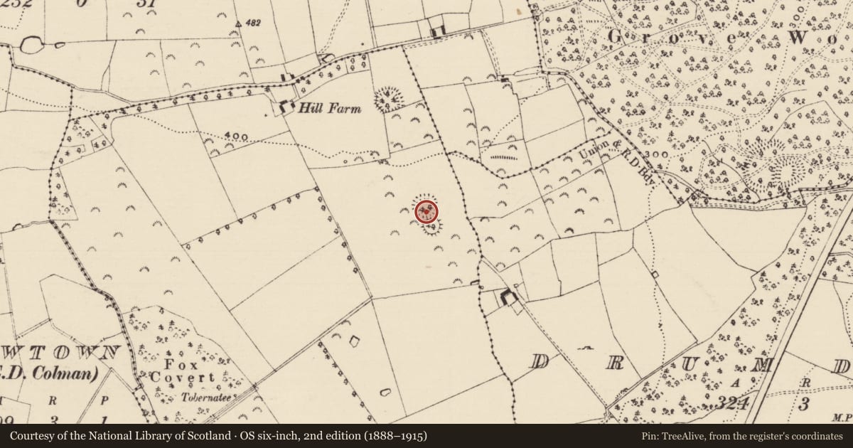 Ordnance Survey six-inch map, 2nd edition (1888–1915) covering the location of Barrow - embanked barrow, Ballygambon, County Tipperary South, with a pin at the register's coordinates