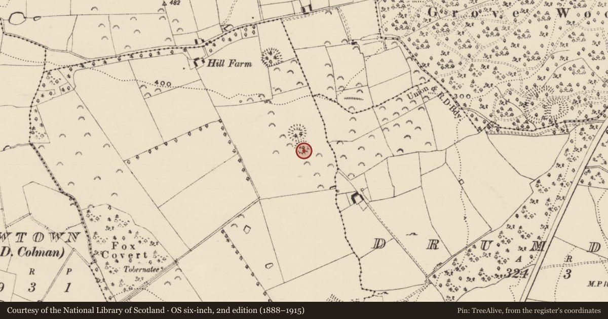 Ordnance Survey six-inch map, 2nd edition (1888–1915) covering the location of Barrow - embanked barrow, Ballygambon, County Tipperary South, with a pin at the register's coordinates