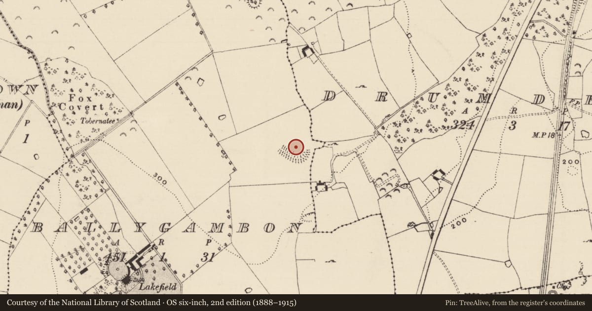 Ordnance Survey six-inch map, 2nd edition (1888–1915) covering the location of Enclosure, Ballygambon, County Tipperary South, with a pin at the register's coordinates