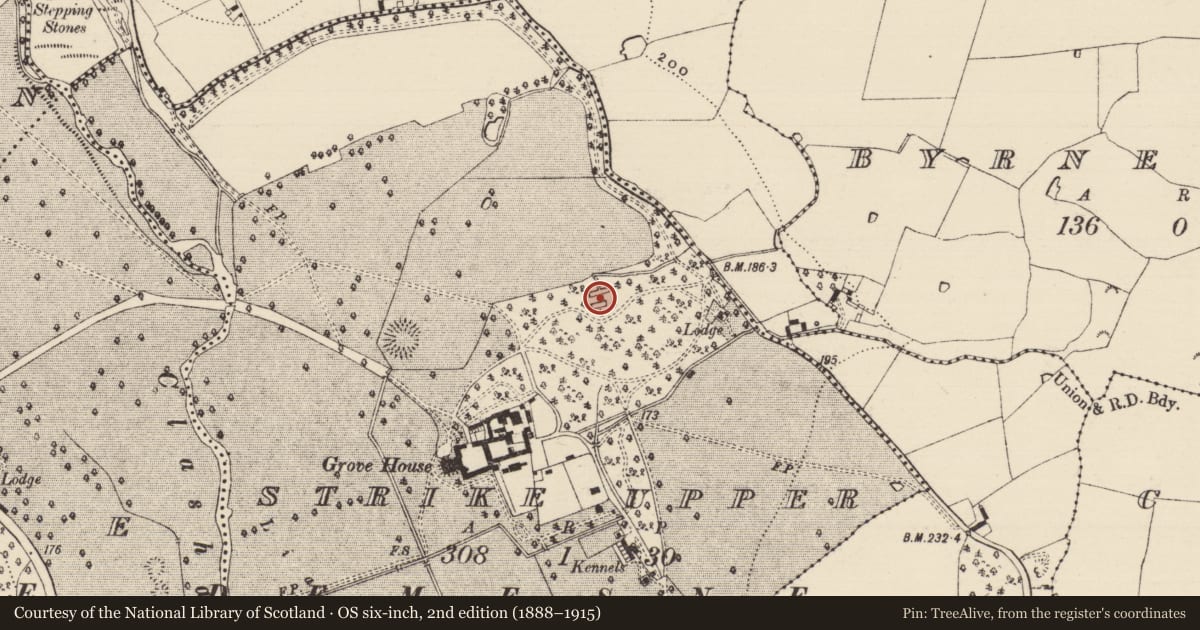 Ordnance Survey six-inch map, 2nd edition (1888–1915) covering the location of Fish-pond, Strike Upper, County Tipperary South, with a pin at the register's coordinates