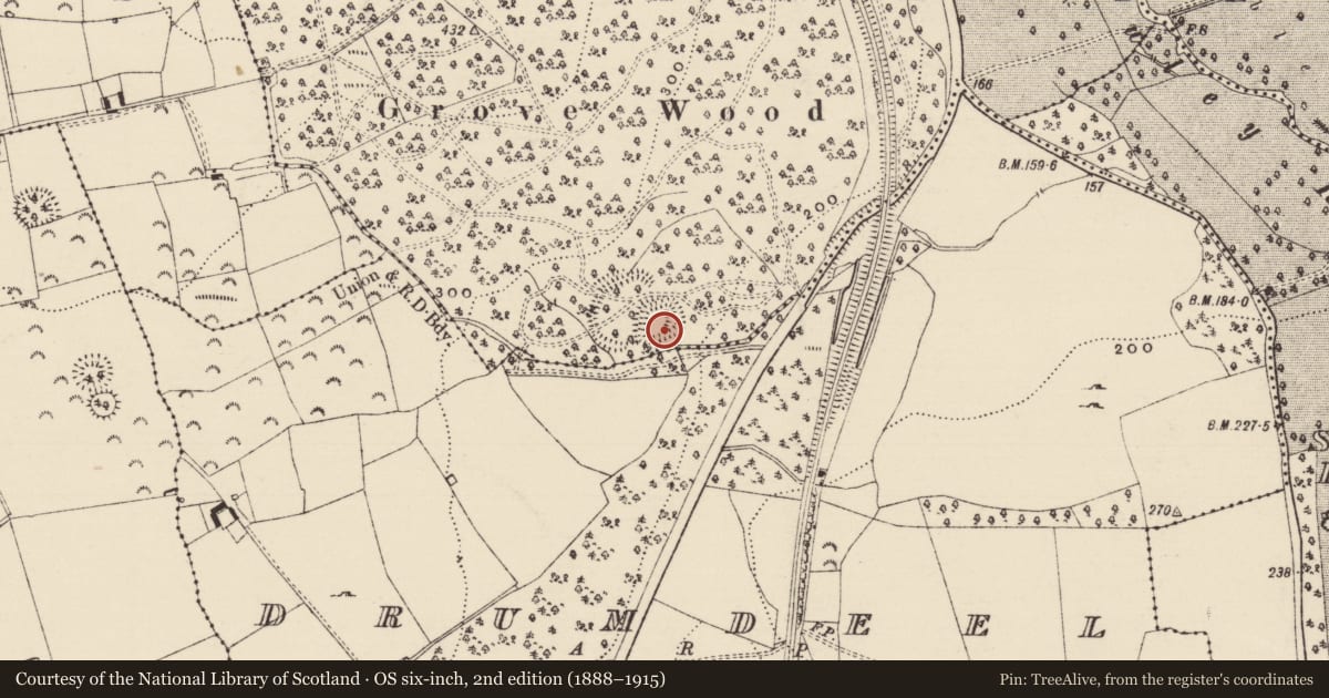 Ordnance Survey six-inch map, 2nd edition (1888–1915) covering the location of Cliff-edge fort, Grove, County Tipperary South, with a pin at the register's coordinates