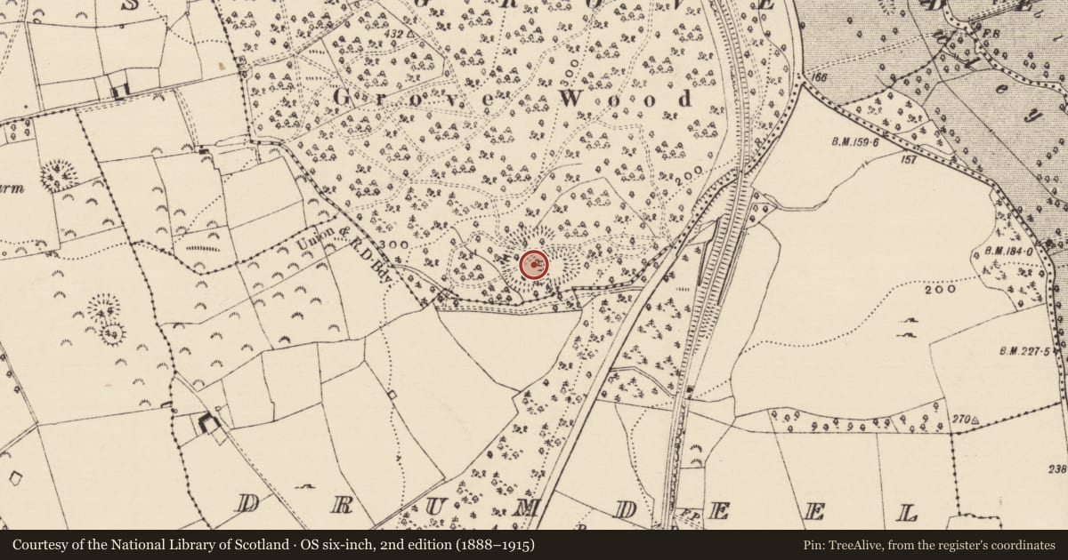 Ordnance Survey six-inch map, 2nd edition (1888–1915) covering the location of Enclosure, Grove, County Tipperary South, with a pin at the register's coordinates