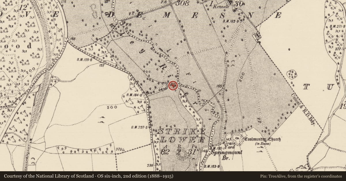 Ordnance Survey six-inch map, 2nd edition (1888–1915) covering the location of Water mill - unclassified, Strike Lower, County Tipperary South, with a pin at the register's coordinates
