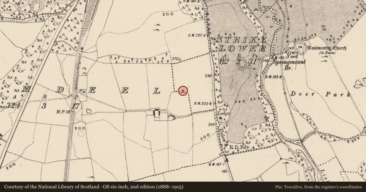 Ordnance Survey six-inch map, 2nd edition (1888–1915) covering the location of Enclosure, Strike Lower, County Tipperary South, with a pin at the register's coordinates