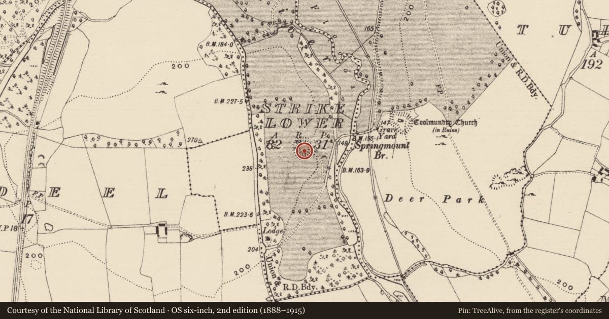 Ordnance Survey six-inch map, 2nd edition (1888–1915) covering the location of Ringfort - rath, Strike Lower, County Tipperary South, with a pin at the register's coordinates