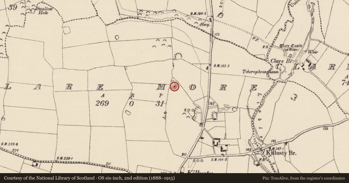 Ordnance Survey six-inch map, 2nd edition (1888–1915) covering the location of Ringfort - rath, Clare More, County Tipperary South, with a pin at the register's coordinates